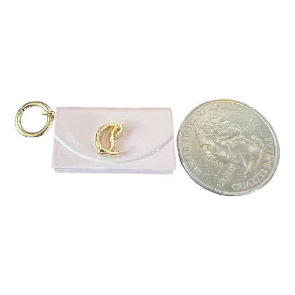 Christian Louboutin Blush Charm with Gold Detail NIB - Picture 6 of 9